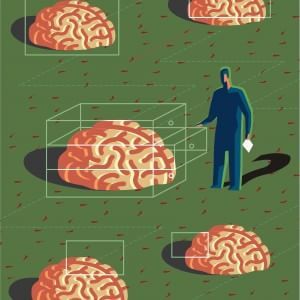 Da lotta Alzheimer a rumore Premi L'Oreal a cinque giovani ricercatrici italiane