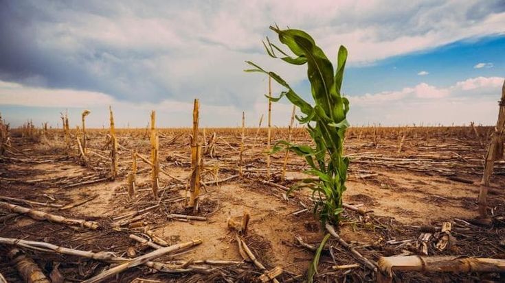 Il cambiamento climatico blocca gli Obiettivi Onu di sviluppo sostenibile