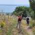 Tra bicicletta, passeggio e arte: sport e cultura a Bracciano