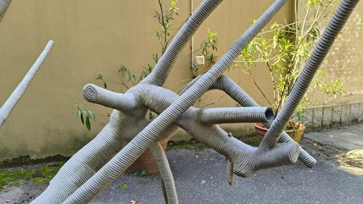 Manomessa l’opera di Grassino nel giardino di Palazzo Cisterna. Città metropolitana: “Rimedieremo”