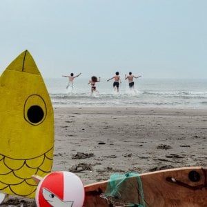 Sardine, tuffo fuori stagione per i quattro leader nazionali per invitare a votare 