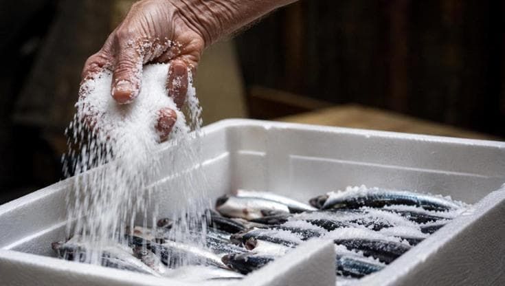 Camogli rinasce, così un imprenditore riporta in vita la Cooperativa di pescatori