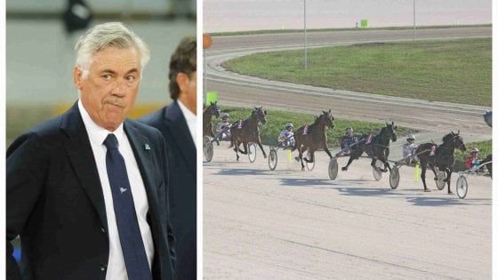 Carlo Ancelotti si regala un cavallo: comprato a Milano Black Mirror