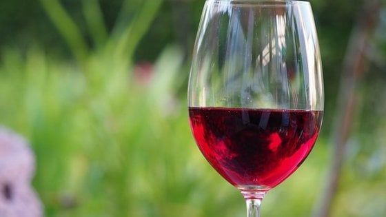 Made in Sannio 50% vini campani, nasce premio Falanghina top