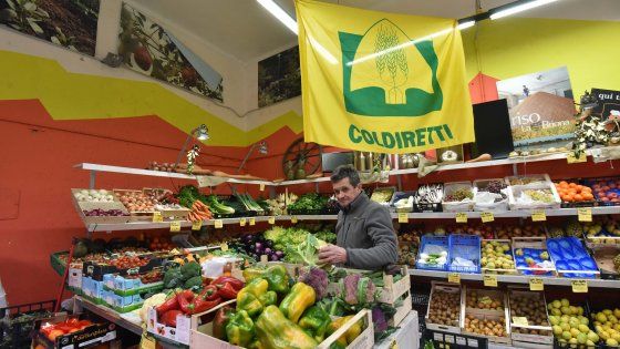 Viva e Vegeta, 5 negozi dove ogni mattina c'è l'ortofrutta di stagione