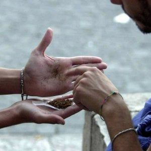 Taranto, 8 arresti per traffico di droga. Il capoclan in affari con la Camorra: "Siamo di sangue blu"