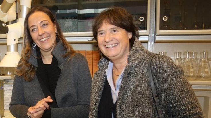Saccardi apre a Funaro, Galli (Lega) a Renzi: a Firenze la trama delle alleanze