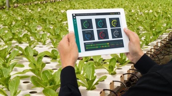 Per i giovani agricoltori italiani la nuova frontiera è la Tecnologia di evoluzione assistita