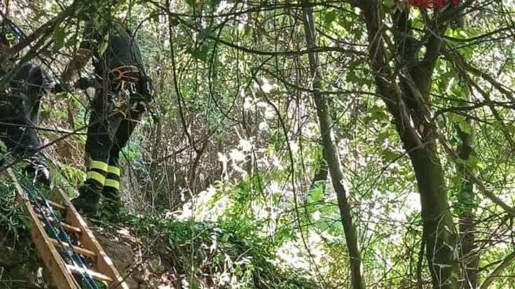 Scoperto cadavere di un uomo tra la vegetazione a Nemi