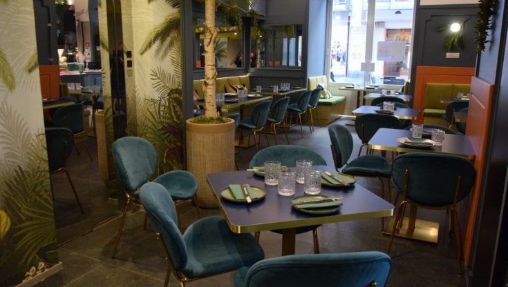 Bari, aperto il primo ristorante giapponese in via Sparano: "Poke hawaiano, bubble tea e sushi anche per l'aperitivo"