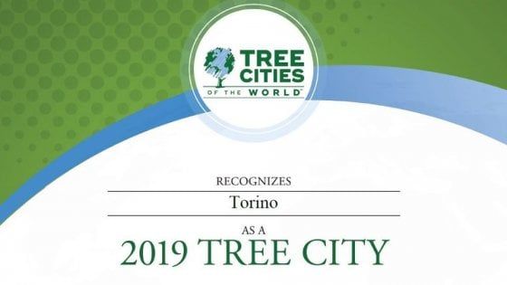 Verde pubblico, la Fao promuove Torino tra le 60 "Città degli alberi" del mondo 