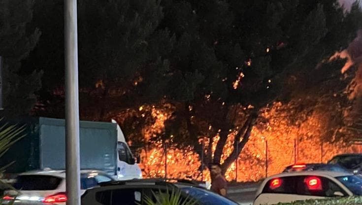 Gallipoli, incendio all’esterno del parco Gondar. Fuochi d'artificio esplosi vicino alla struttura