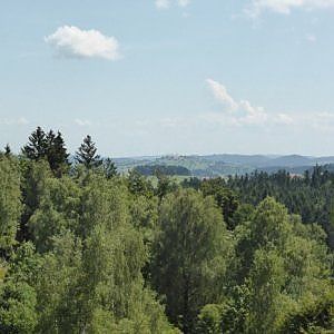 "Così, nel 2050, gli alberi australiani compenseranno la mancanza di acqua con la CO2" 