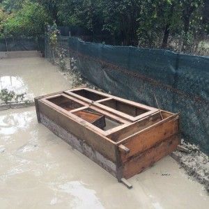 Alluvione, Pd: interventi immediati per l'emergenza