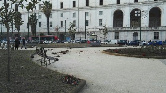 Arrestato il vandalo di piazza Carlo III distruggeva i giardini per vendetta 
