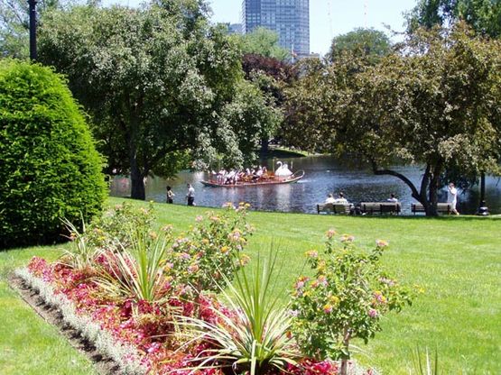 Primavera in Massachusetts
