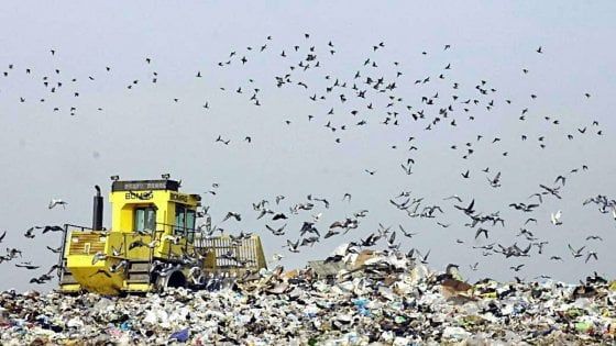 Rifiuti, l'assessore Contrafatto invia dossier ai pm: "Anomalie nelle autorizzazioni delle discariche"