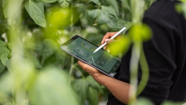 Agroalimentare, la competitività passa dalle filiere e dalla tecnologia