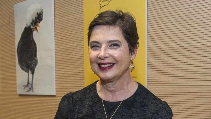 Tff, la prima Stella della Mole a Isabella Rossellini, il festival dal 20 al 28 novembre