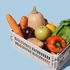 Più frutta e verdura, meno farmaci: prescrivere alimenti salutari previene obesità e ipertensione