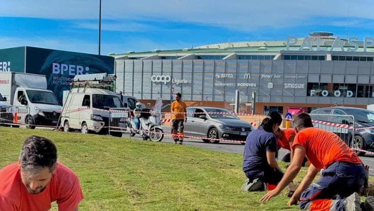 Salone Nautico 450 mq di nuovo prato e 350 piante nell’area del Palasport: l’allestimento di Aster