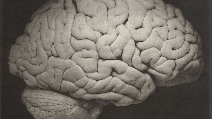 Quei primi anni di vita che plasmano il cervello 