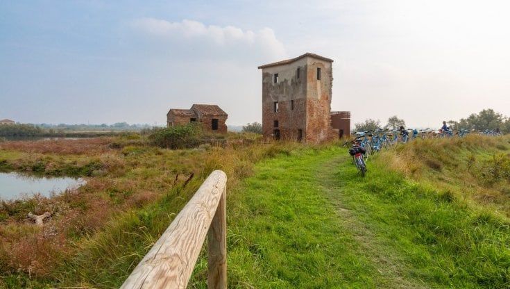 Piste ciclabili in Romagna, la top ten: itinerari a pedali tra valli, saline e pinete