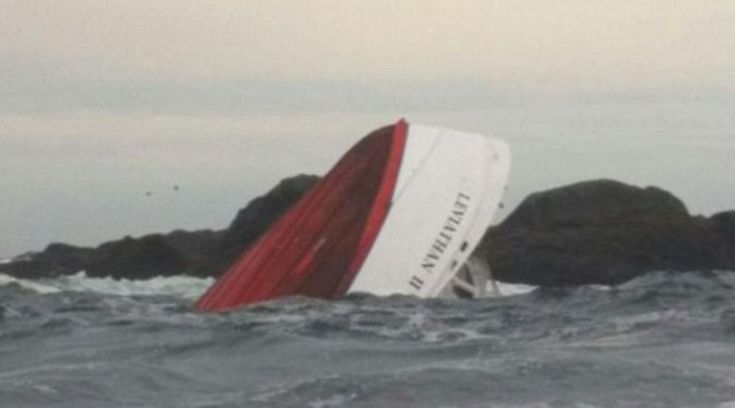 Canada, battello affondato durante un tour di avvistamento balene