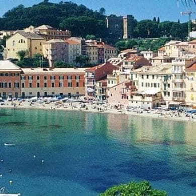 Erba gatta e calendula nei cannoni