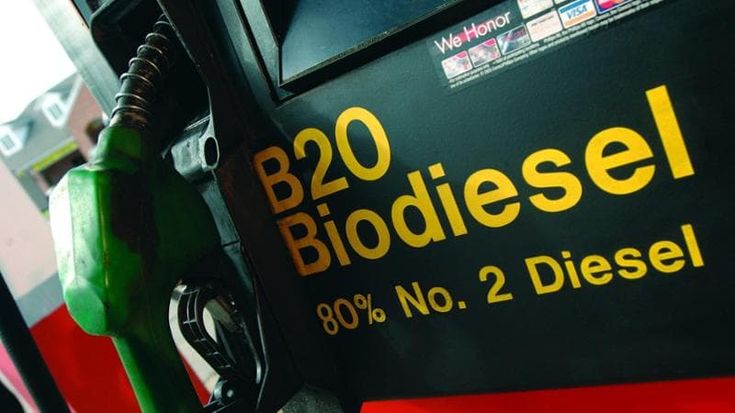 Via ai biocarburanti per i motori diesel: l’Italia sorpassa tutti in Europa. I pro e i contro