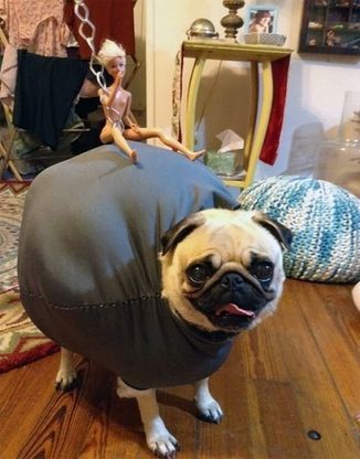 Halloween, il costume parodia di Miley Cyrus conquista i social