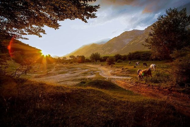  Il Matese come in una fiaba, la foto che svela l'incanto bucolico