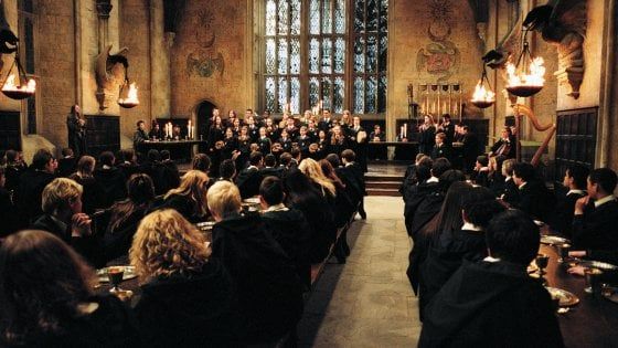 Prendersi cura di Mr. Potter è stato un onore