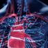 Cardiomiopatia ipertrofica ostruttiva, in arrivo nuove soluzioni terapeutiche