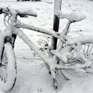 Targa e bollo sulla bici, scoppia il caso