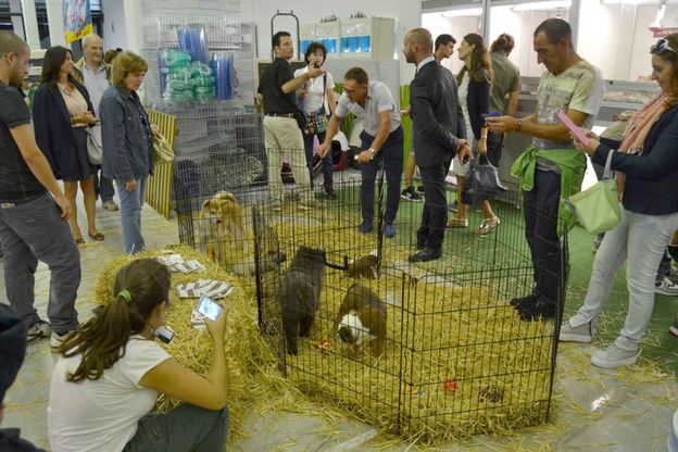 Casa degli animali in Fiera, boom di visitatori<br />ma le associazioni protestano