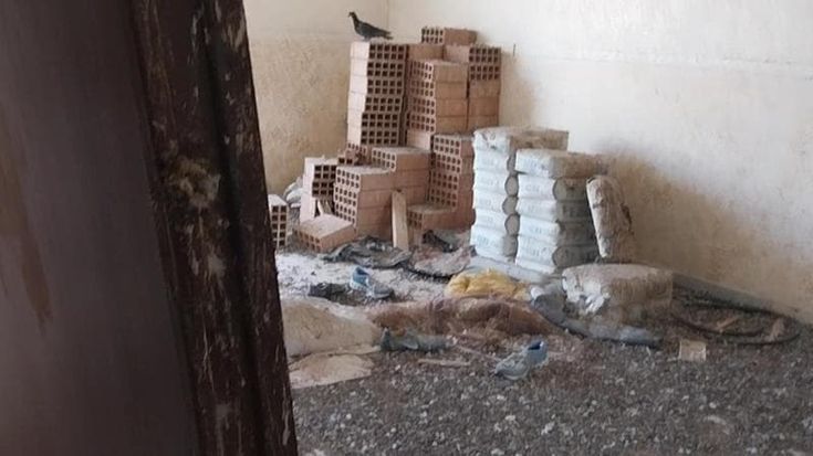 Bari, casa popolare abbandonata e infestata dai piccioni: “Anni di solleciti ma nessuno interviene”