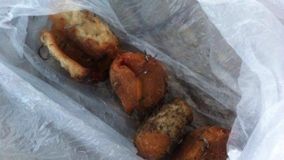 Bari, polpette con i chiodi nella pineta San Francesco: "Vogliono ucciderci i cani"