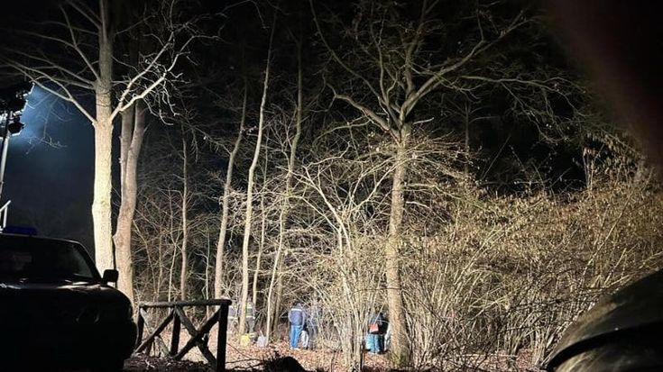 Cadavere a Stupinigi, il figlio confessa: “Ho ucciso mamma per la pensione e l’ho sepolta nel bosco”