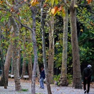 Genova, con laghetto e nuovi alberi l’Acquasola riparte: il parco rinasce pulito 