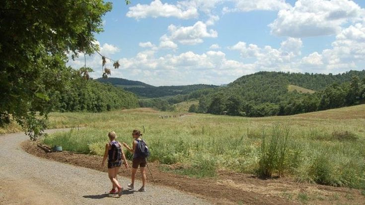 Torna CamminaNatura, due giorni di gite lungo i sentieri