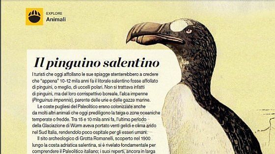 "L'antenato del pinguino viveva in Salento": così la Grotta Romanelli ha svelato la sua storia