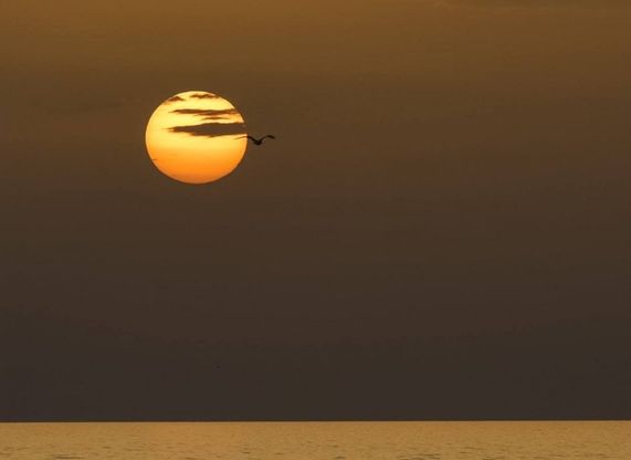 Forio e i tramonti sul mare: il reportage racconta la magia