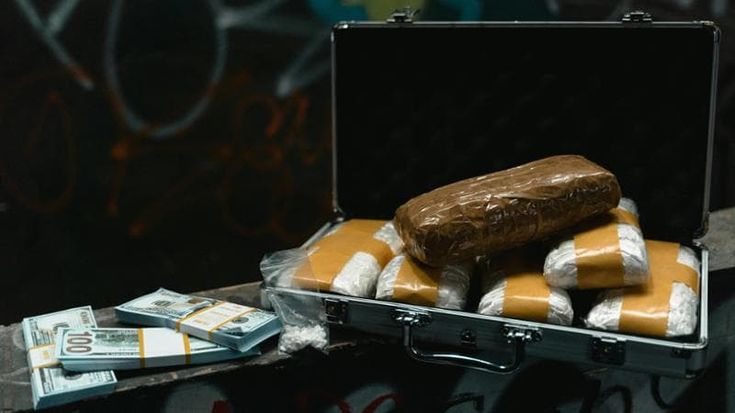 Ndrangheta, 788 chili di cocaina sequestrati al Porto di Gioia Tauro. Avrebbero fruttato 126 milioni