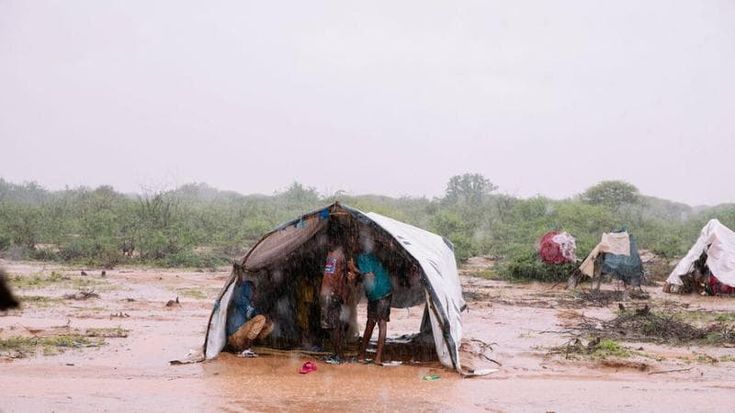 Ambiente, “L’inerzia verso i cambiamenti climatici si paga con milioni di vite ogni giorno”