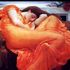 Flaming June, vergine o dark lady? Torna la 