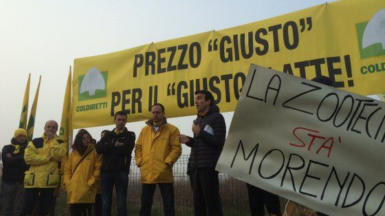 Coldiretti lancia la 'guerra del latte': gli allevatori protestano per il crollo dei prezzi