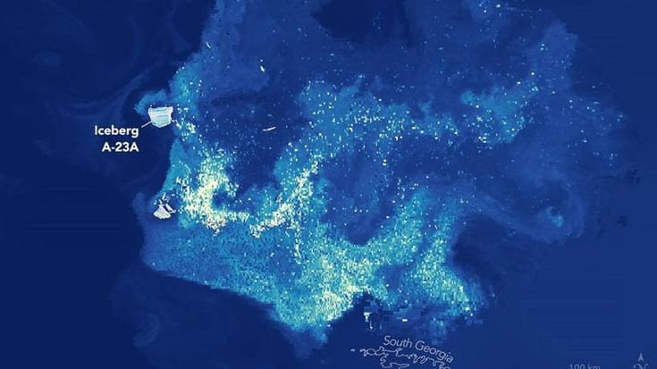 L’iceberg dei record sta morendo. Ma prima di sbriciolarsi fa fiorire la vita marina