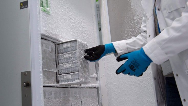 Coronavirus, al via nel Regno Unito test farmaco per prevenire l'infezione: immunità 6-12 mesi