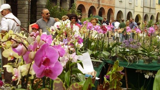 L’autunno dell’Emilia si accende di sapori e colori